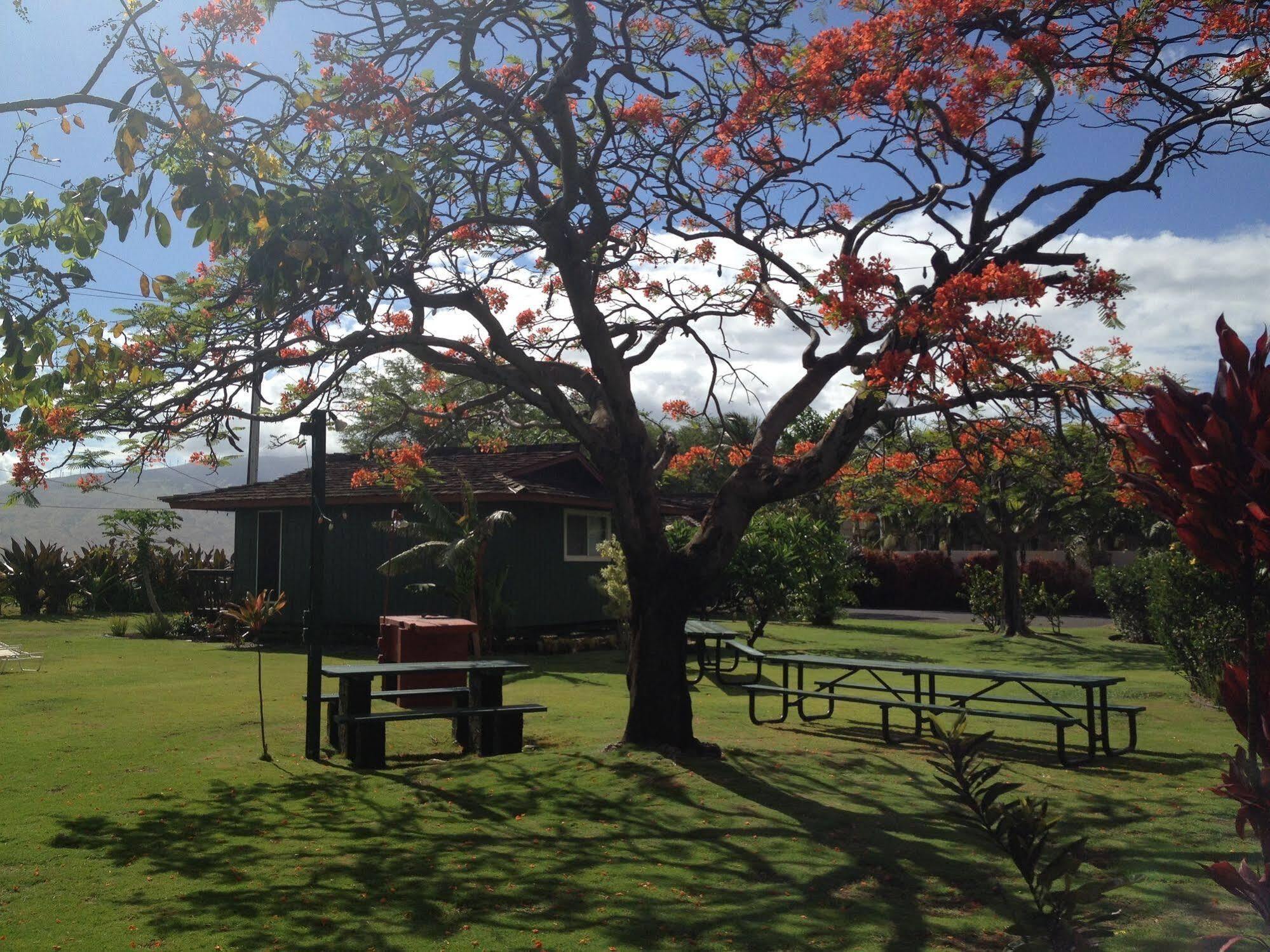 Nona Lani Cottages Kihei Eksteriør bilde